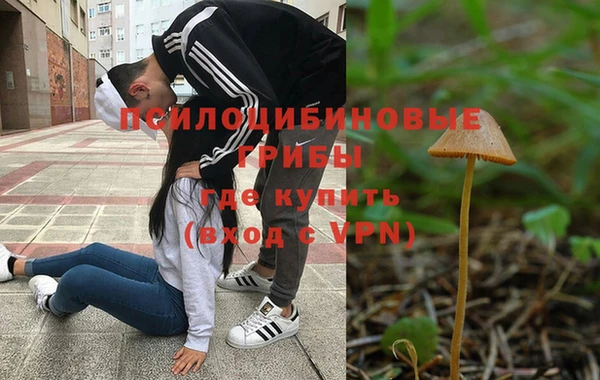 трава Беломорск