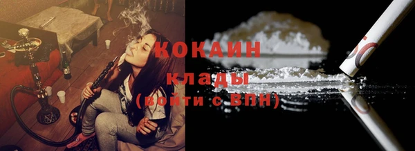 PSILOCYBIN Белокуриха