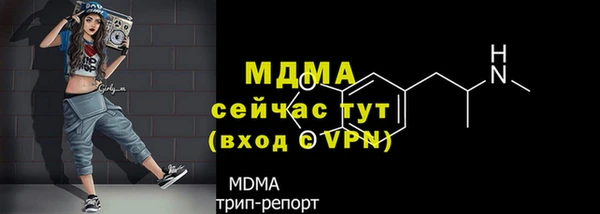 PSILOCYBIN Белокуриха