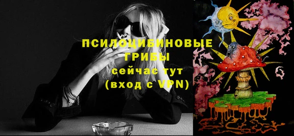 Альфа ПВП Баксан