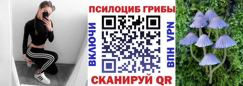 Галлюциногенные грибы MAGIC MUSHROOMS omg ссылка Городец