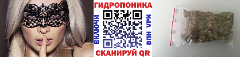 наркошоп  Городец  МАРИХУАНА планчик 